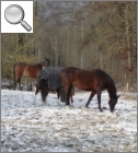 Hofgut Lichtenfeld