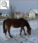 Hofgut Lichtenfeld